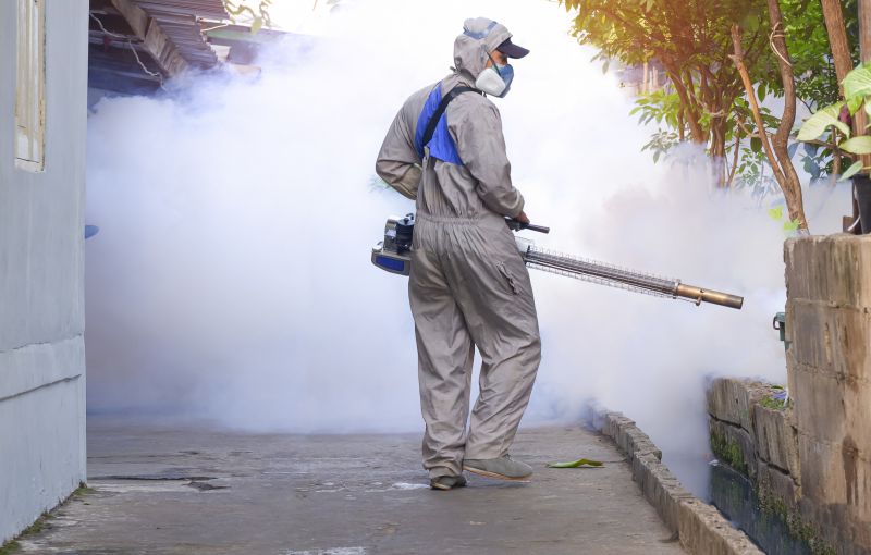 Fly Pest Control in New Braunfels, TX